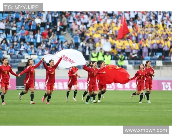 2014年世界杯荷兰队与巴西队激战回顾：一场震撼人心的足球盛宴